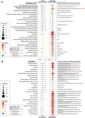 Characterization of the SGLT2 Interaction Network and Its Regulation by SGLT2 Inhibitors: A Bioinformatic Analysis